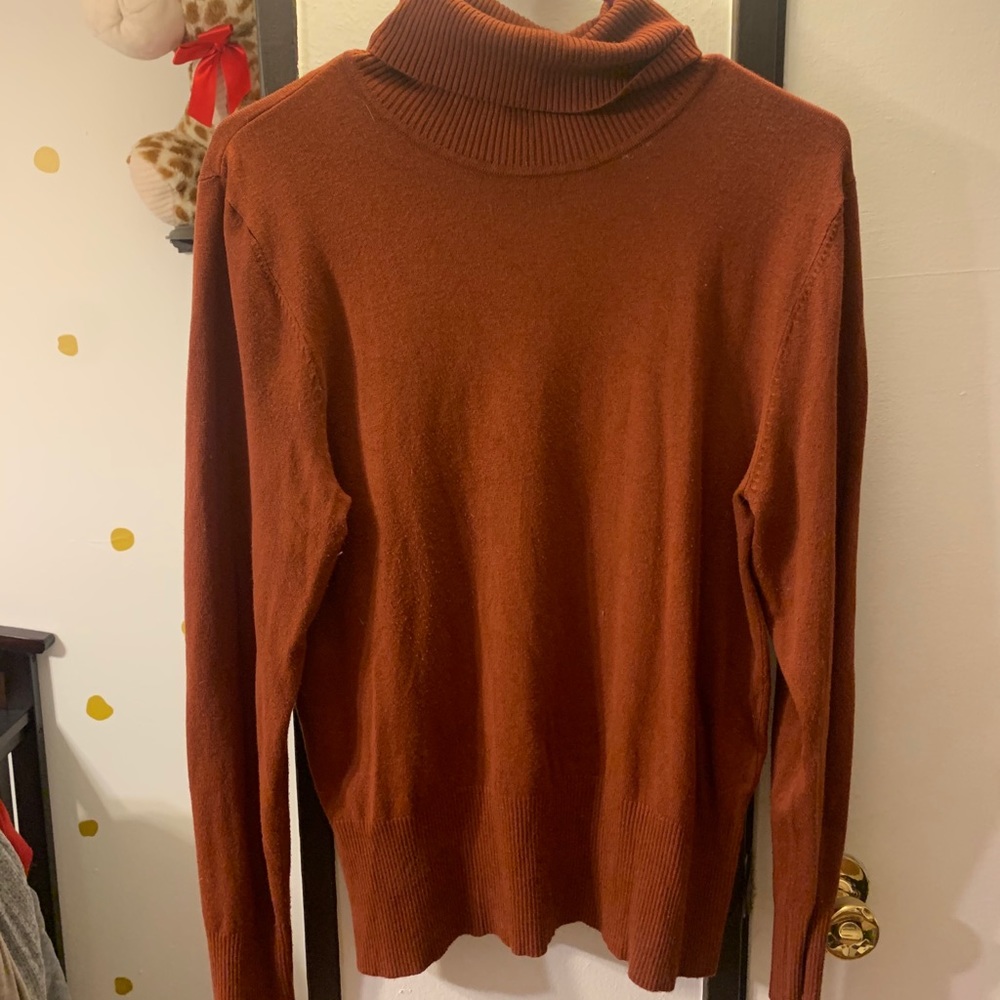 Burnt orange turtleneck sweater